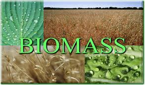 Biomassza feldolgozó berendezések